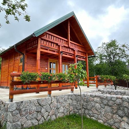 Villa Brvnare Cirkovic Zlatibor Esterno foto