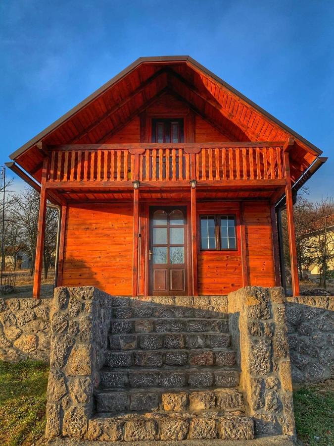 Villa Brvnare Cirkovic Zlatibor Esterno foto