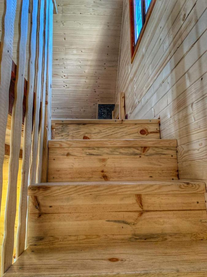 Villa Brvnare Cirkovic Zlatibor Esterno foto
