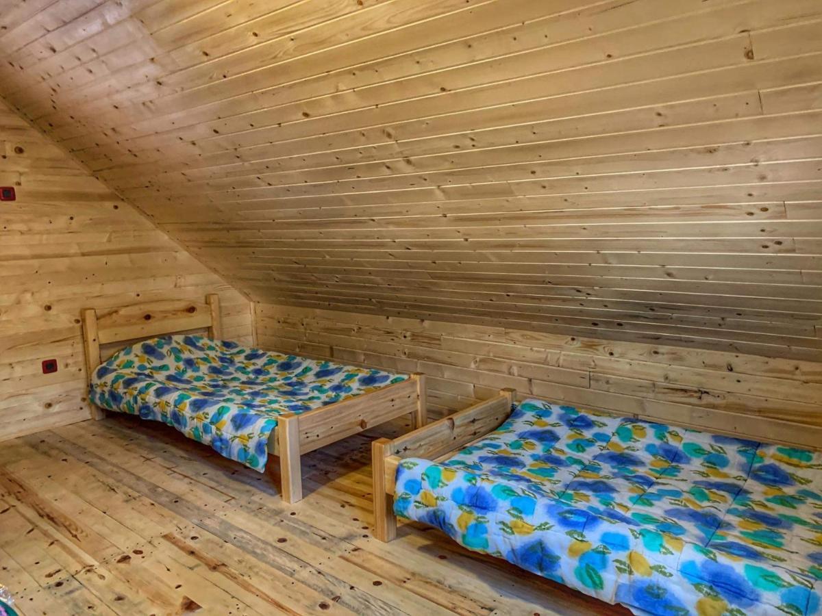 Villa Brvnare Cirkovic Zlatibor Esterno foto