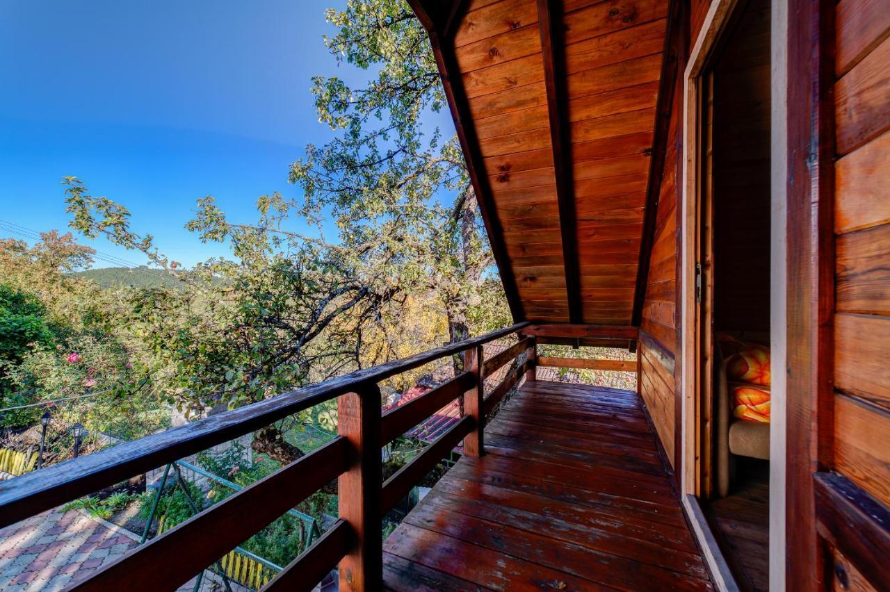 Villa Brvnare Cirkovic Zlatibor Esterno foto
