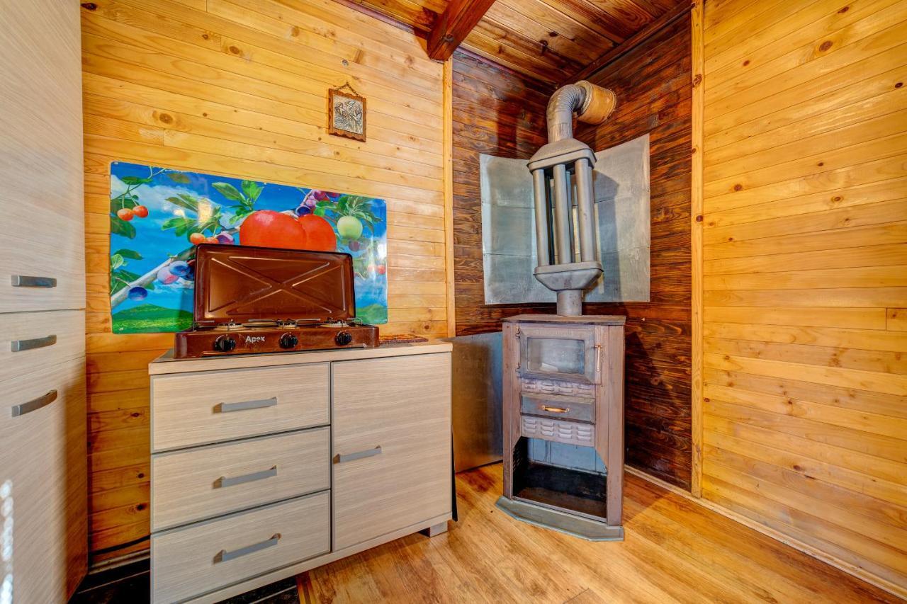Villa Brvnare Cirkovic Zlatibor Esterno foto