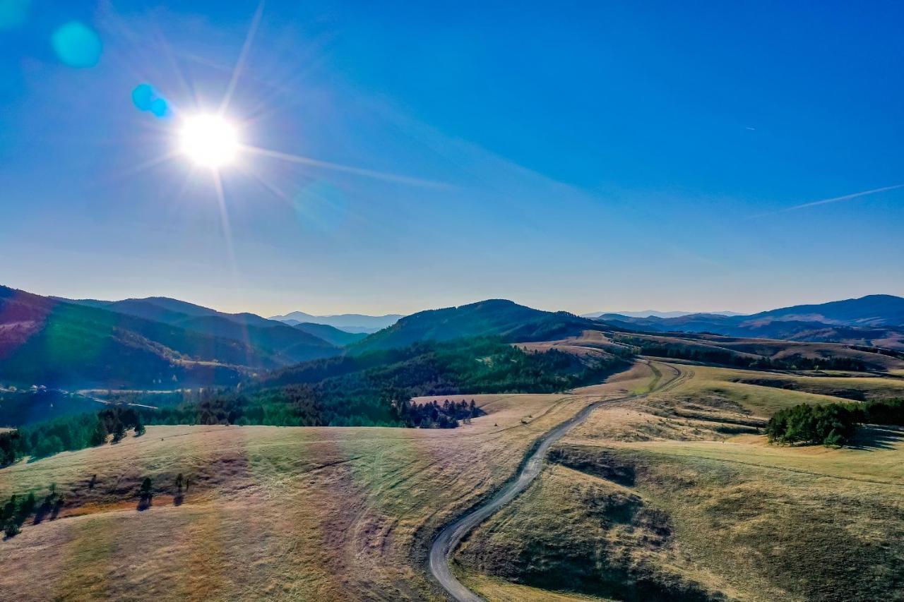Villa Brvnare Cirkovic Zlatibor Esterno foto